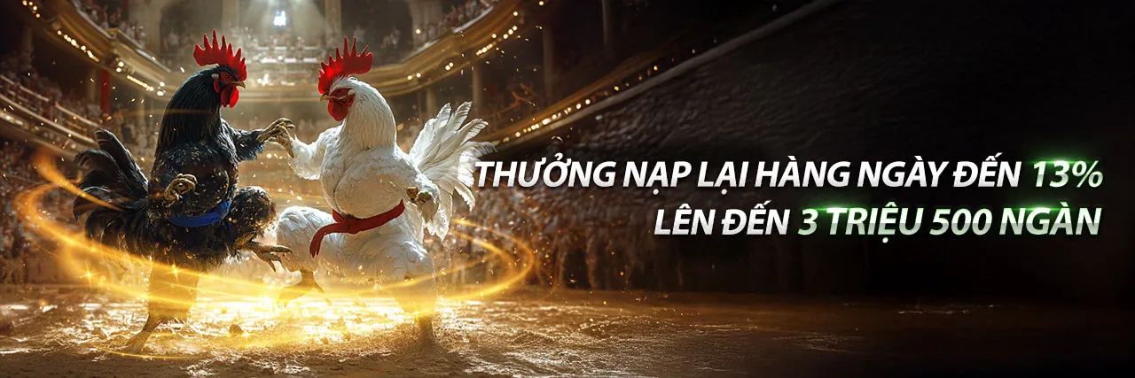 Đá Gà Trực Tuyến M88KEO Đăng Nhập
